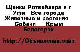 Щенки Ротвейлера в г.Уфа - Все города Животные и растения » Собаки   . Крым,Белогорск